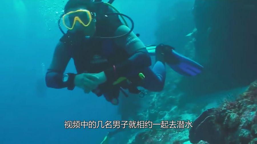 美妙森林找不同
